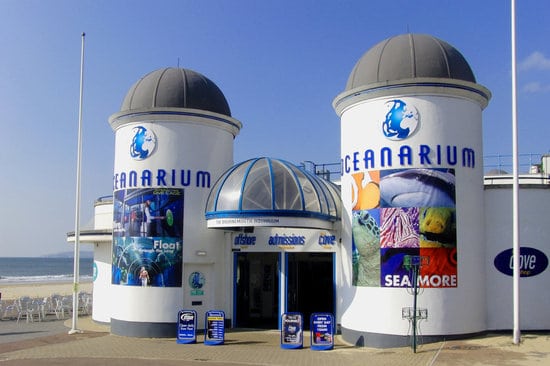 bournemouth-oceanarium