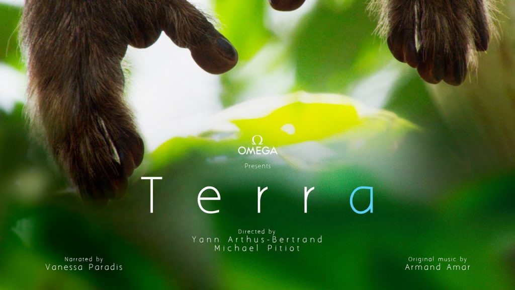 Terra-belgesel